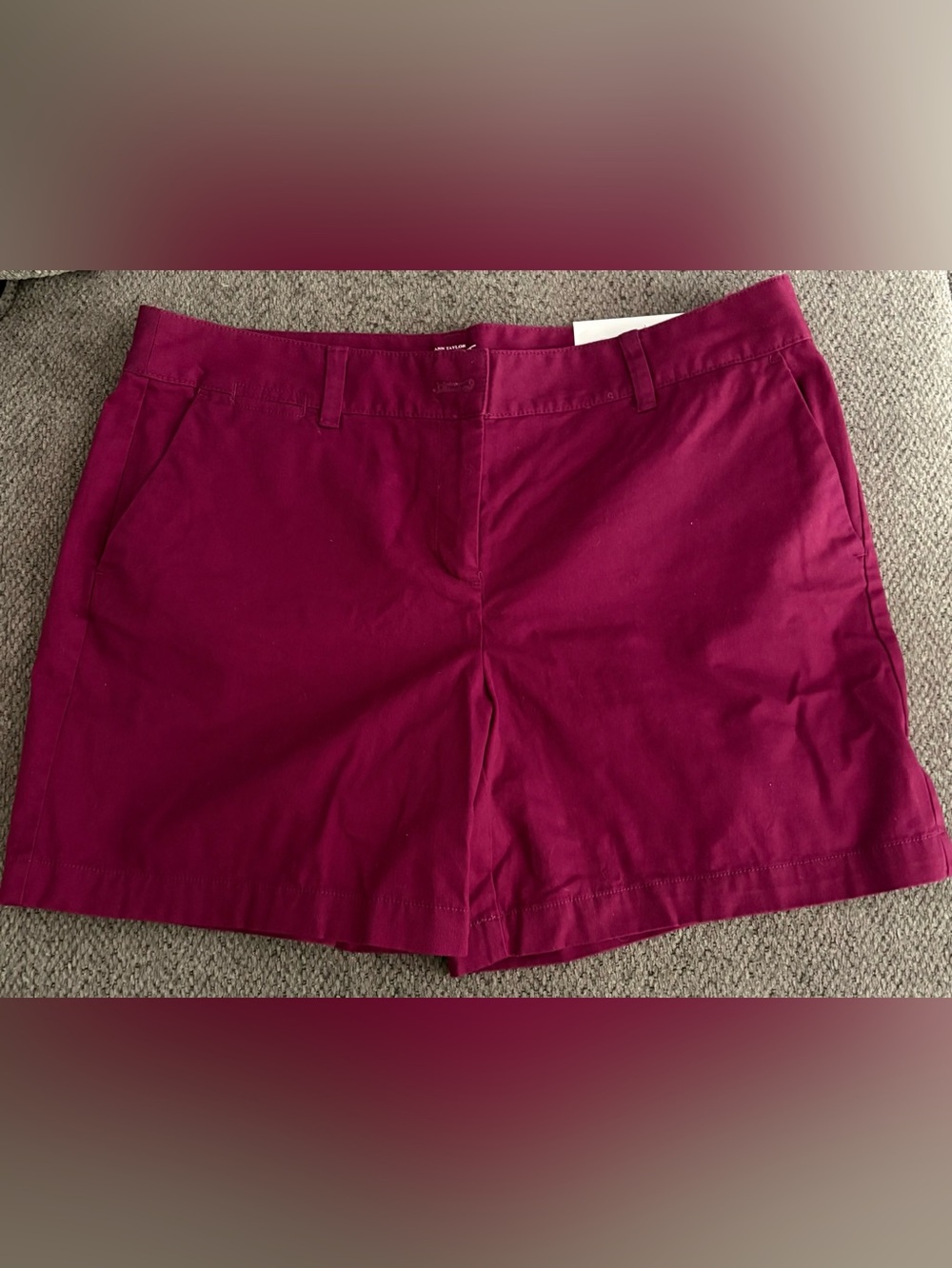 Ann Taylor LOFT Maroon Shorts